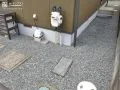 雑草対策した犬走り