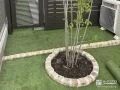 お庭の可愛らしいポイントとなるピンコロ石の植栽スペース