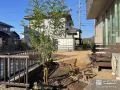 主庭の雑草対策に防草シートを敷き新しい植栽を植えつけた工事