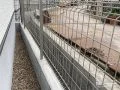 圧迫感の無いメッシュフェンス
