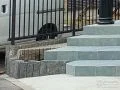玄関前のアクセントとなる植栽スペース