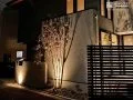 光と影が生み出す美しいシルエット