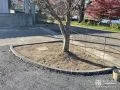 温かみのあるブロックを並べた植栽スペース
