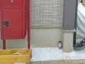 植栽スペースに白砂利を敷設し明るい印象に雑草対策