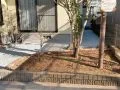 レンガの可愛らしい花壇