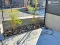無機質な空間に緑のアクセントを
