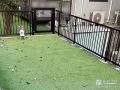 裏庭をクローズにしてドッグランとして活用