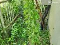 【施工前】雑草が生い茂っていた犬走り