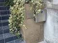 玄関前にもタイル貼り