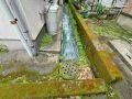 【施工前】犬走り