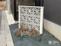 玄関前のアクセントとなる飾り塀
