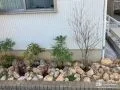 ロックガーデン風の植栽スペース