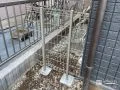 犬走りの境界にメッシュフェンスを設置