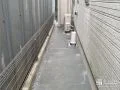 砂利スリット入りで排水性の高い犬走り