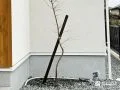 植栽をライトアップするスポットライト