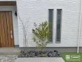 立体感のある美しい樹形を楽しめる植栽スペース