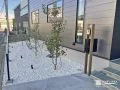 白砂利が植栽の美しさを引き立てるスペース