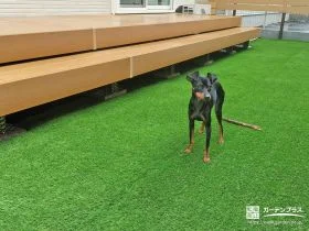 青々とした人工芝が心地よいドッグラン[施工後]