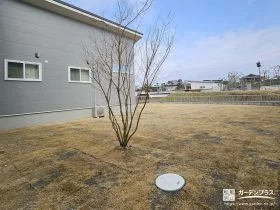 自然の豊かな表情を楽しめる天然芝のお庭[施工後]