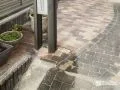 玄関アプローチの雑草対策