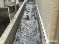 防草シートを敷設し雑草対策をした犬走り