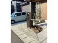 やさしい素材感が心地いいナチュラルテイストの新築外構