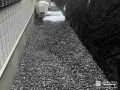 すっきりとした印象になり雑草対策もできた犬走り