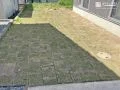 季節の変化を感じられる自然の心地よさを取り入れたお庭