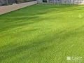 お庭のお手入れの手間を軽減できる緑鮮やかな人工芝敷設工事