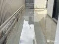 お庭と犬走りをすっきり整えたコンクリート打設と砕石敷設工事