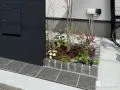 玄関周りを彩った植栽