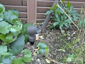 夜間の植栽の美しさを引き立てるスポットライトの設置工事