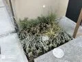 お住まいに彩りを与える植栽