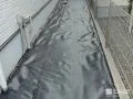 砂利敷きの犬走りに防草シートを敷設して雑草対策をした工事