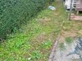 【施工前】園路