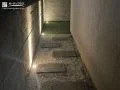 やわらかな光が壁面に反射する園路