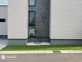 入隅を彩る爽やかなシマトネリコ