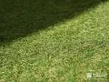 リアルな質感が楽しめる人工芝