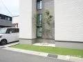 入隅に設けた植栽「シマトネリコ」