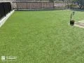 お手入れも楽でわんちゃんも嬉しい人工芝