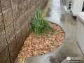 ナチュラルな印象に仕上がったウッドチップ敷きの植栽スペース