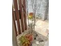 自然石と植栽で魅せる彩り豊かな植栽スペースをつくった工事