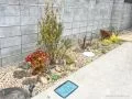 玄関アプローチを彩る植栽