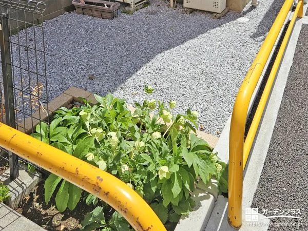 レンガの植栽スペースが可愛らしいローメンテナンスなお庭工事