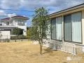 植栽を植えお庭に緑をプラス