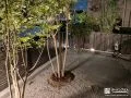 夜間も美しいお庭