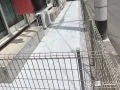 雑草を撤去してから仕上げた明るく歩きやすい犬走りの工事