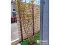 コンパクトな庭の入り口に目隠しとなる植栽