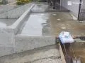 毎日の行き来がしやすく清潔に保つ土間コンクリート舗装
