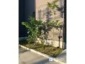 緑豊かな癒しの植栽スペース